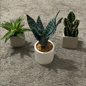 fake plants